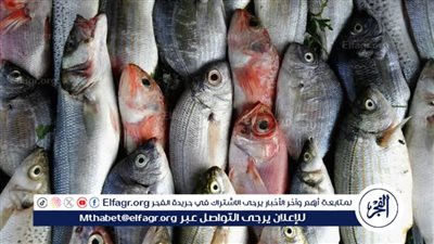 تعرف على أسعار الأسماك اليوم الخميس الموافق 12-6-2025 فى سوهاج