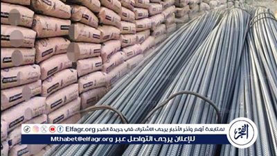 ثبات في أسعار الحديد والأسمنت والجبس بالأسواق المصرية اليوم الجمعة 13 يونيو 2025