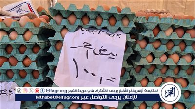 محافظ الدقهلية: استمرار انطلاق أسواق اليوم الواحد الجمعة والسبت كل أسبوع 