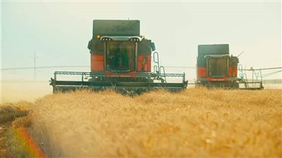 محافظ أسوان: تخطى معدلات توريد كميات القمح إلى 550 ألف و949 طن