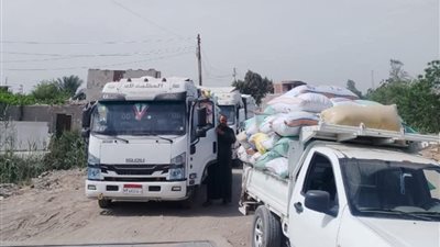 استمرار استقبال محصول القمح المحلي وتوريد 596847 طن و958 كيلو للمواقع التخزينية بالشرقية