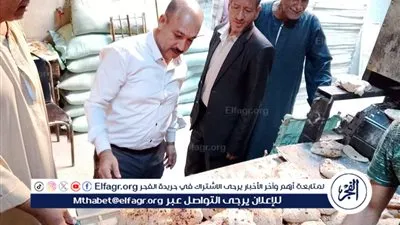 محافظ المنيا: ضبط 167 مخالفة تموينية بمخابز ملوي خلال حملات تفتيشية مكثفة