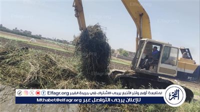 حملات مكبرة لتطهير الترع بمركزي صدفا وأبنوب فى أسيوط 