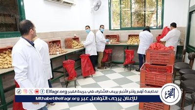 عاجل- الحكومة: طفرة في تصدير البطاطس المصرية.. فحص 1.3 مليون طن بزيادة 34% عن الموسم الماضي