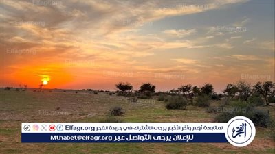 محمية الإمام تركي تفعّل اليوم العالمي لمكافحة التصحر.. «معًا لبيئة أكثر ازدهارًا» أخبار الأربعاء 18 يونيو 