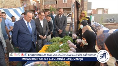 محافظ أسيوط يتفقد مشروعات التكتلات الاقتصادية بمركز أبنوب 