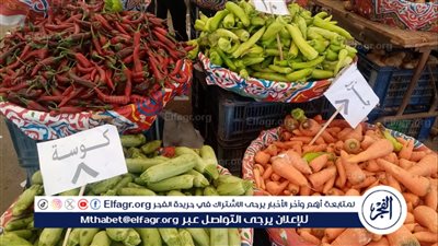 محافظ الدقهلية: استمرار انطلاق أسواق اليوم الواحد الجمعة والسبت كل أسبوع 