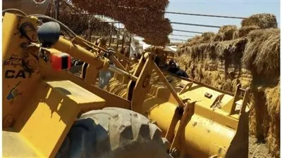 إزالة 3 حالات تعد على الأراضي الزراعية بالشرقية