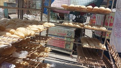 تحرير 330 مخالفة تموينية في حملات رقابية مكثفة على المخابز والأسواق بالقليوبية