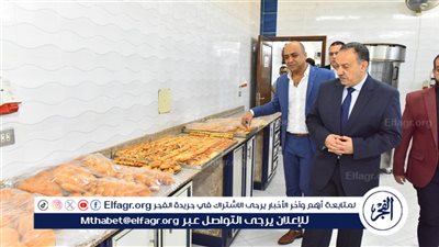 محافظ أسيوط يتفقد المنطقة الصناعية بعرب العوامر فى أبنوب 