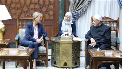 شيخ الأزهر لسفيرة الاتحاد الأوروبي: ما يحدث في غزة إبادة جماعيَّة