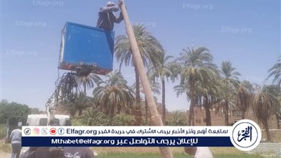 بعد إستغاثات عديدة من الأهالي.. رئيس مركز قنا يستجيب للأهالي بتركيب وزراعة أعمدة إنارة