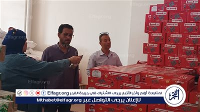 ضبط 10 آلاف قطعة لوليتا فاسدة ومخازن مخالفة في حملة رقابية ببني سويف