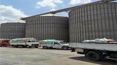 “ الوزراء ” يوافق على تأسيس شركة “فيرم مصر” لتوطين صناعة صوامع تخزين 