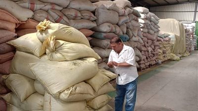 ضبط 4 طن اعشاب مجهولة المصدر خلال حملات تفتيشية في الزوامل بالشرقية