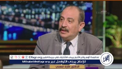 أستاذ علوم سياسية يكشف سبب القلق الإسرائيلي تجاه مصر منذ 7 أكتوبر(فيديو)