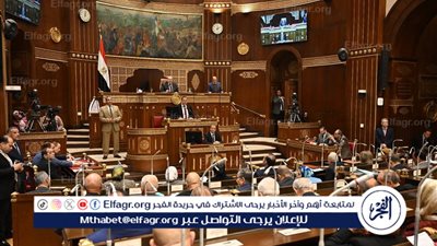 بعد إحالته للجنة المختصة.. تفاصيل طلب المناقشة العامة بشأن مكافحة ظاهرة التنمر
