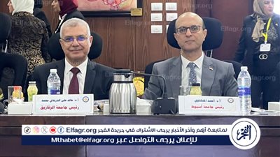 رئيس جامعة أسيوط يشارك فى اجتماع المجلس الأعلى للجامعات بجامعة دمياط