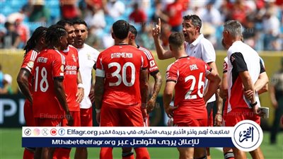 موعد مباراة بنفيكا ونيس في دوري أبطال أوروبا والقناة الناقلة
