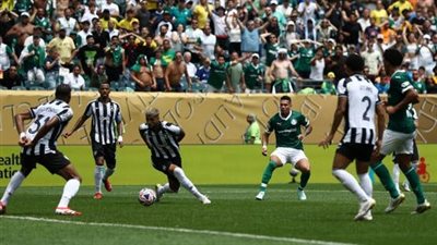 بالميراس يبلغ ربع نهائي كأس العالم للأندية بهزيمة بوتافوغو