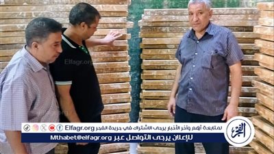 تحرير 581 محضرًا تموينيًا للمخابز والأسواق في أسيوط 