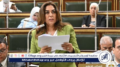 🎥 شاهد| نشأت الديهي ينتقد وزيرة التنمية المحلية: 