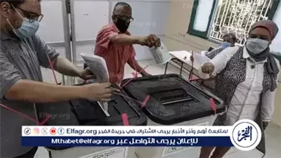 عاجل ـ إنتخابات مجلس الشيوخ 2025 .. مشاركة المصريين في موسكو تتزايد رغم سوء الطقس