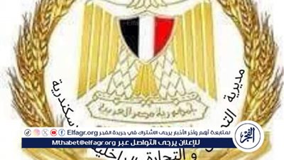  مديرية تموين الإسكندرية تضبط طن جبنة 