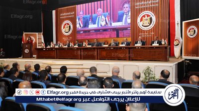 عاجل- الهيئة الوطنية للانتخابات تعلن خطة حفظ الأمن والنظام خلال انتخابات مجلس الشيوخ 2025