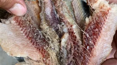 ضبط 1.5 طن لحوم فاسدة و4 أطنان أسماك مملحة و20 ألف عبوة شيبسي في حملات تفتيشية بالغربية