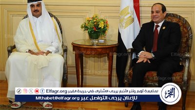 عاجل- ترامب: مصر وقطر ستقدمان الاقتراح النهائي لإنهاء حرب غزة.. 