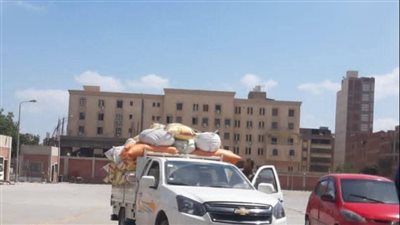 إستمرار تدفق الأقماح المحلية لشون وصوامع الشرقية