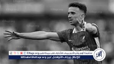 تعرف على تفاصيل وفاة ديوغو جوتا نجم ليفربول في حادث مروع بإسبانيا