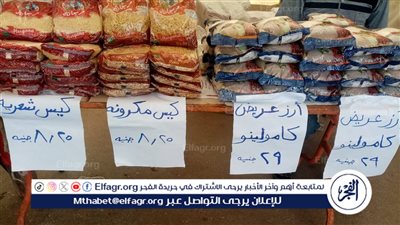 محافظ الدقهلية: استمرار انطلاق أسواق اليوم الواحد الجمعة والسبت كل أسبوع 