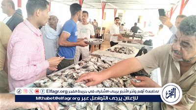 أسعار السمك اليوم الجمعة 12-9-2025 في محافظة قنا