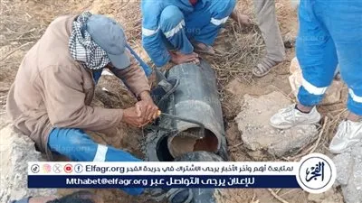 رئيس مياه القناة: استخراج جذور الأشجار من شبكة لـ 40 فدان بالقنطرة شرق