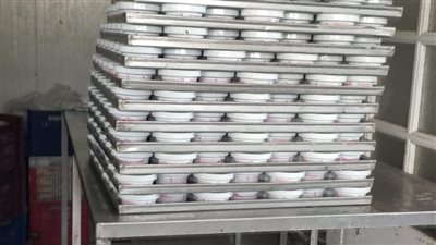  محافظ المنوفية: ضبط أكثر من 2700 كرتونة مواد غذائية دون مستندات ومجهولة المصدر بأشمون