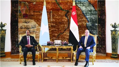ماذا وراء زيارة الرئيس الصومالي إلى القاهرة؟.. خبراء يجيبون لـ 