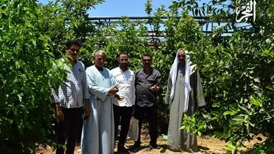 من الغمر إلى الشمس.. خطوات نحو الري المُستدام في مصر(تقرير معمق)