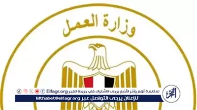 وزارة العمل تُعلن عن 178 فرصة عمل في الإمارات برواتب تصل إلى 24 ألف جنيه شهريًا