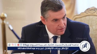  سلوتسكي: ميرتس يسعى لتعطيل المفاوضات بين روسيا وأوكرانيا