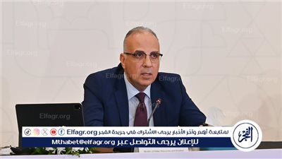 وزير الري: تأثرنا من ملء السد الاثيوبي وسقوط الأمطار خفف من حدة  الأزمة