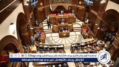 القوائم الكاملة لأسماء ورموز مرشحي انتخابات مجلس الشيوخ 2025 في جميع محافظات مصر