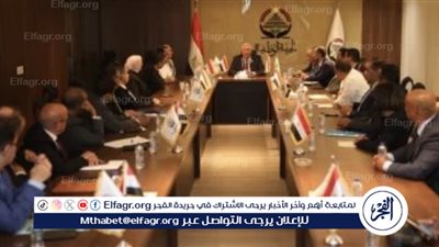 الهيئة الوطنية تحدد تشكيل لجان الإشراف على تصويت المصريين بالخارج في انتخابات مجلس الشيوخ 2025