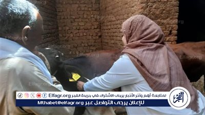 مديرية الطب البيطري بأسيوط تطلق الحملة القومية للتحصين ضد مرضي الحمى القلاعية والوادى المتصدع 