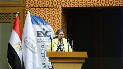 أمين مجلس الشباب