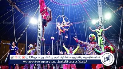 السيرك القومي بجمصة يخطف الأنظار.. عروض نارية وإقبال جماهيري في صيف 2025