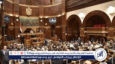 أستاذ قانون دولي يوضح الفرق بين اختصاصات مجلسي النواب والشيوخ (فيديو)