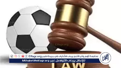 قانون الرياضة| 5 شروط يجب توافرها عند اختيار المدير التنفيذي والمالي للهيئة الرياضية