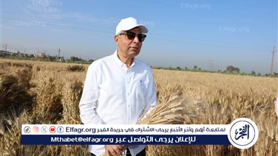 محافظ المنيا: توريد 515 ألف طن قمح منذ بدء الموسم بزيادة 180 ألف طن عن العام الماضي